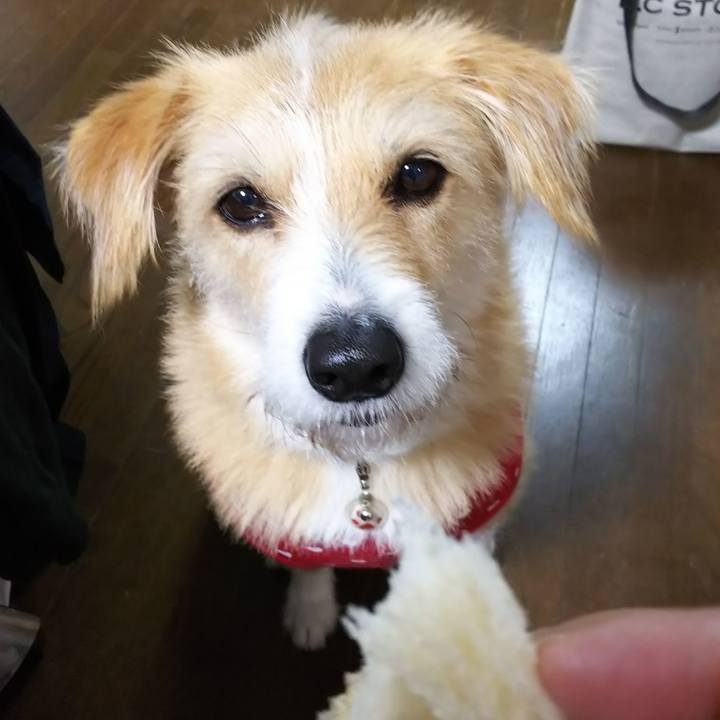 62e7190c d9b8 4b2b ac11 644f1ef36024 1549676538990