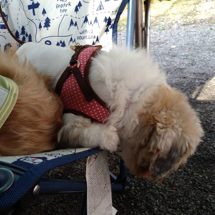 62e72931 5e1c 45f0 90f2 83abffcc37f7 1600903388243