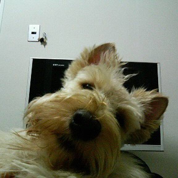 62e7669f e86c 47de 8796 e3af04cf75ef 1547290264062