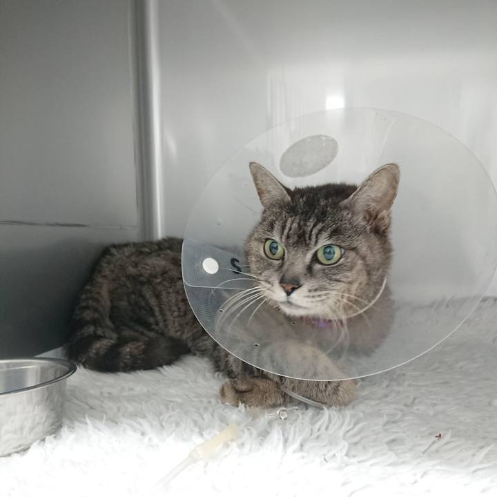 62e768cc 265b 45e5 98f6 3996a98133bc 1585731081706