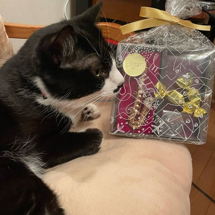 62e78af5 2fd6 475d bf28 cb1a62072e6c 1676424811901