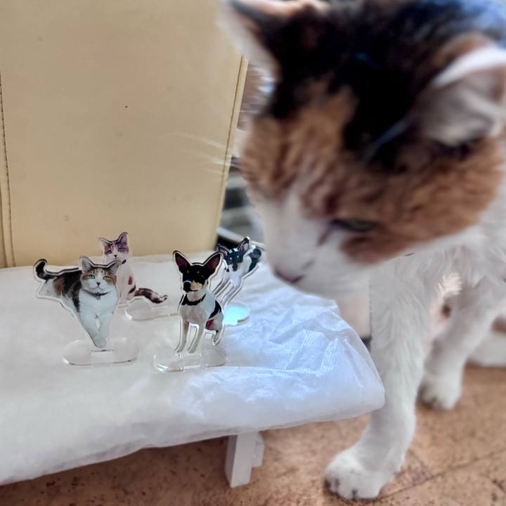 62e78e8b 11a9 40c4 bf99 1adface18604 1745626273364