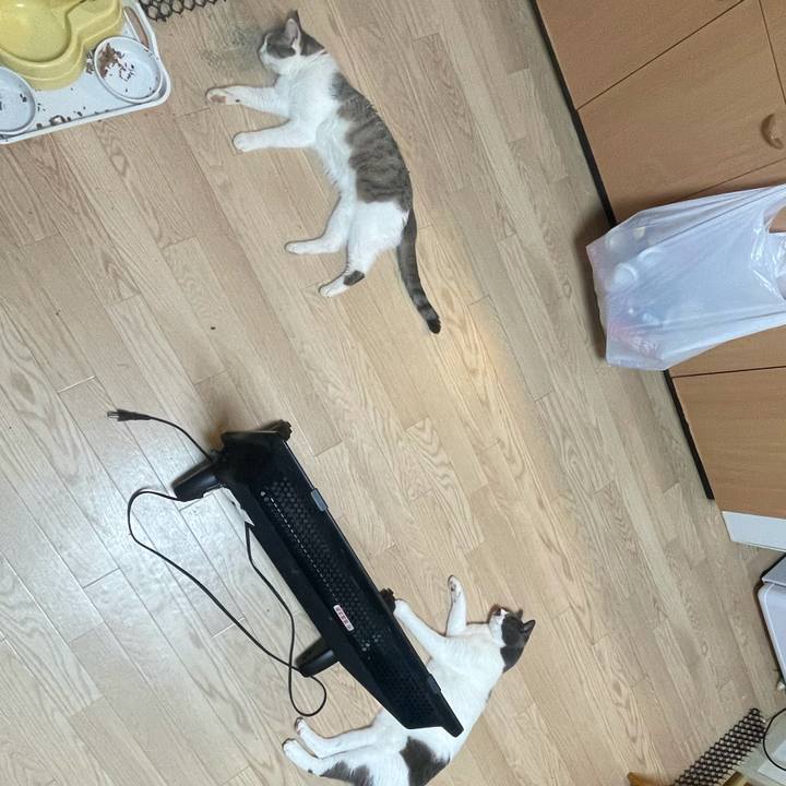 62e8022d 8620 4134 be7c 0956bb0e77a3 1625953232100