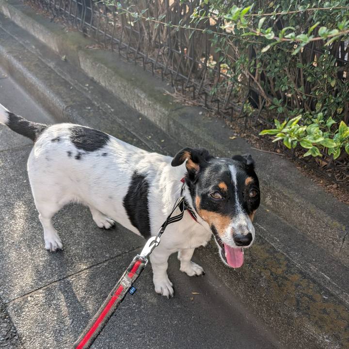 62e80e73 f260 4e38 9c91 adcd6759b573 1759538419134