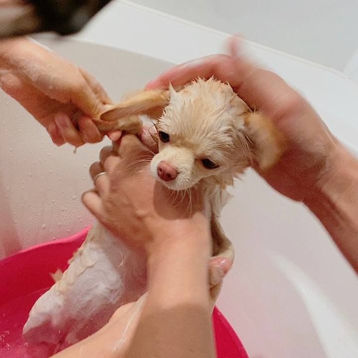 62e81dad 9d3c 422a b931 048e0eee284b 1609585154277