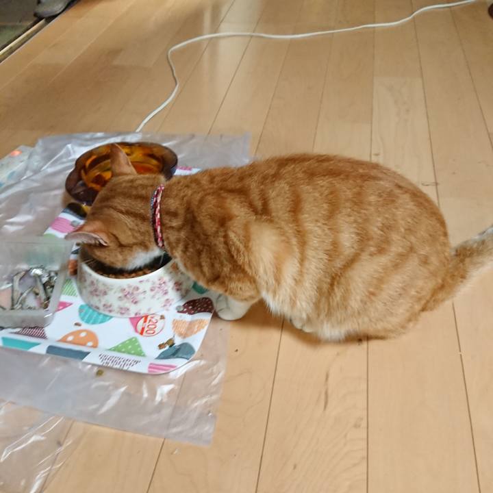 62e85d7d 57f8 4803 a30d 7e9d42ac5cce 1598437651450