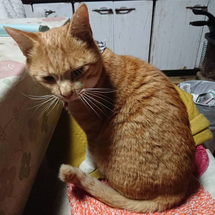 62e8876d 569a 4d54 a462 06e6daef4905 1573243608283