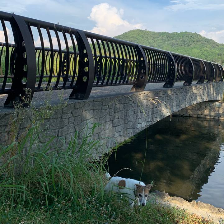 62e8b9b2 df1d 4bcf a60a 900d076bdee4 1627551750127