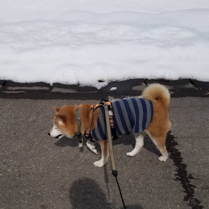 62e8d87b a6ea 4391 829a 8df8972c016d 1709176950077