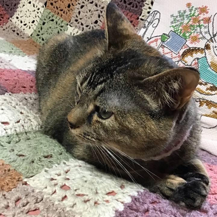 62e8db5d a34b 450a 9c29 701064071c14 1720787183248