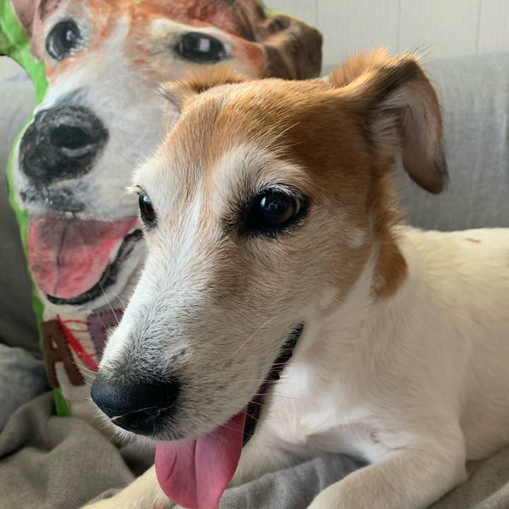 62e8e242 7fe0 4391 ad52 e6a9a6755bb3 1592345314242