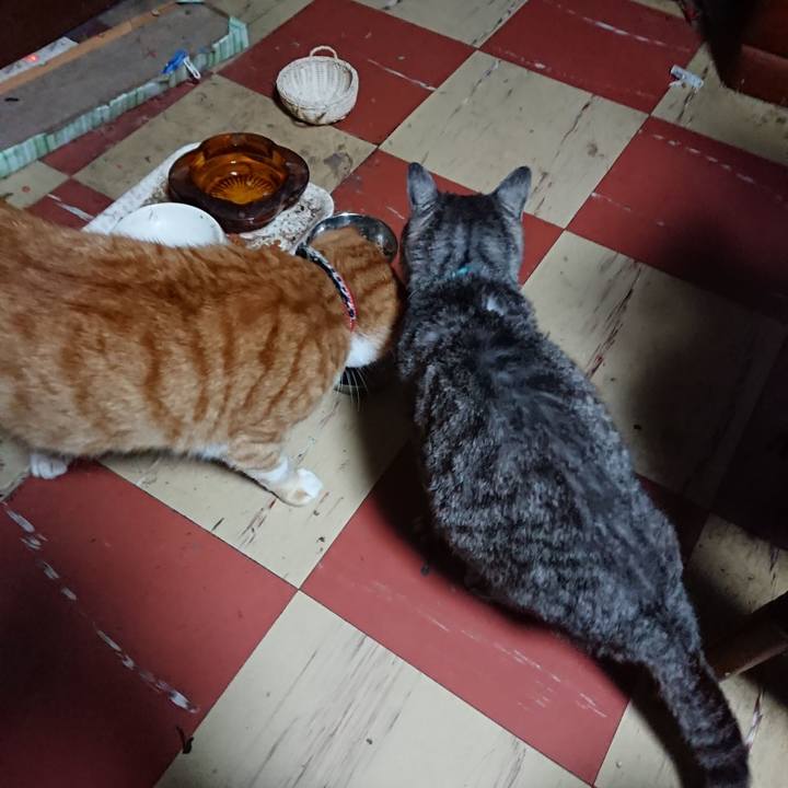 62e95461 8d81 4c39 bc5f d56ecc8a5690 1571601209951