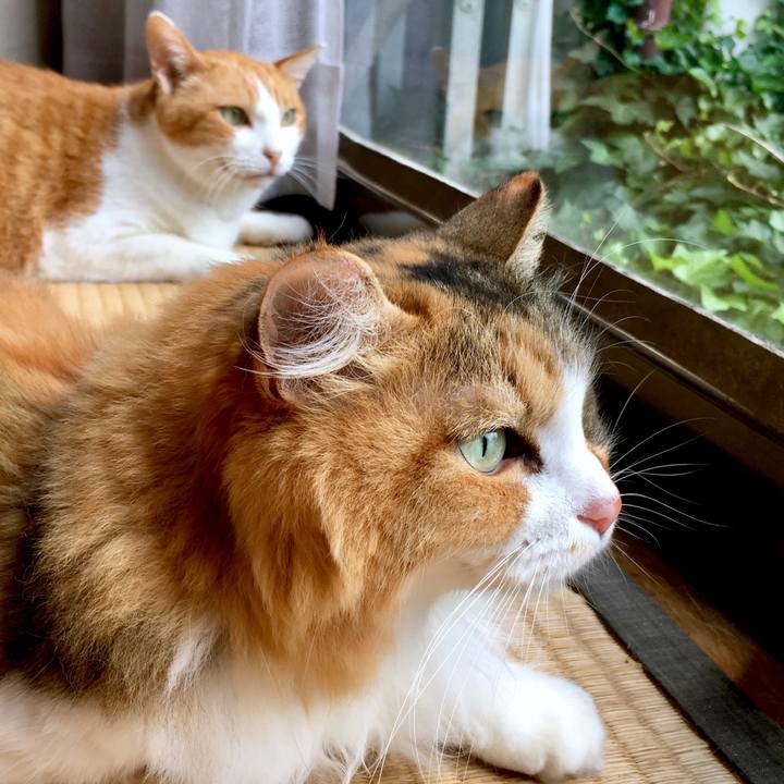 62e955f9 f45f 4c1e baec a1a806fe3f8e 1566790947258