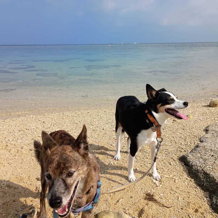 62e97305 04c6 40b3 a11c 928453f26762 1760451444049