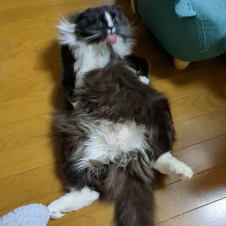 62e9b6d3 8762 4ad6 845b 23595b719b85 1674337200104