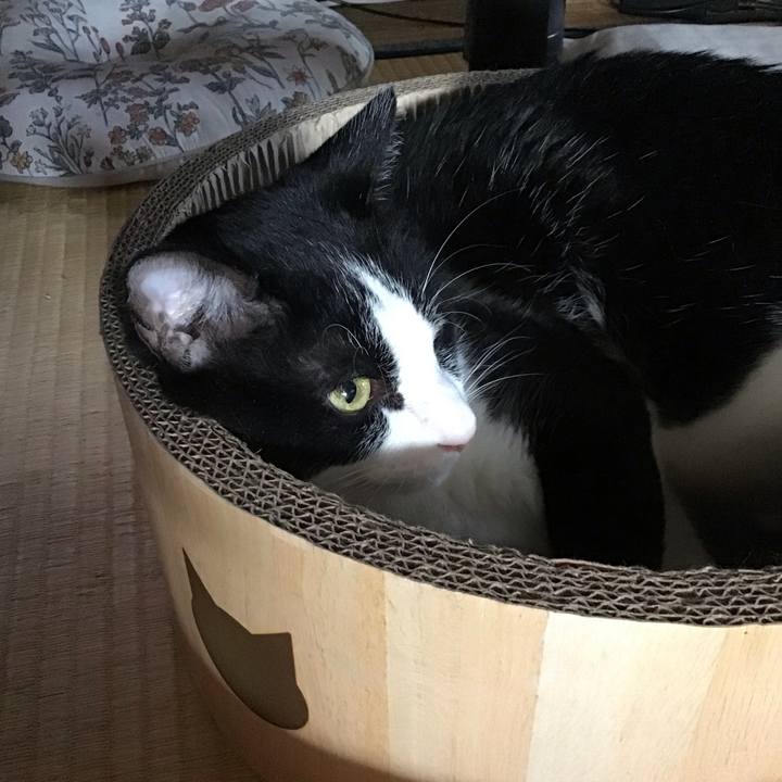 62ea0cb1 41e2 464d ba1e 064410c5c038 1722243526581