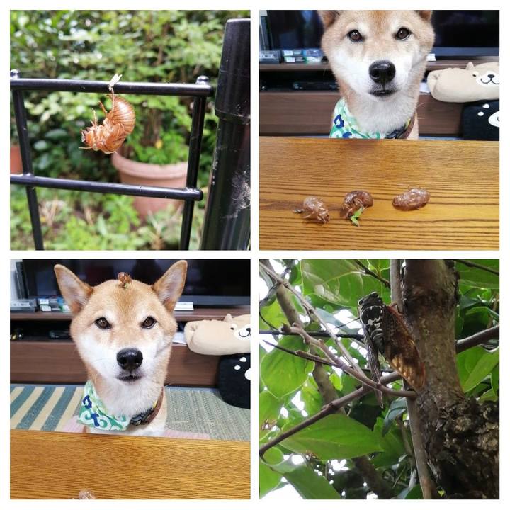 62ea1f77 d170 48e6 9545 89c000b36505 1596286186967