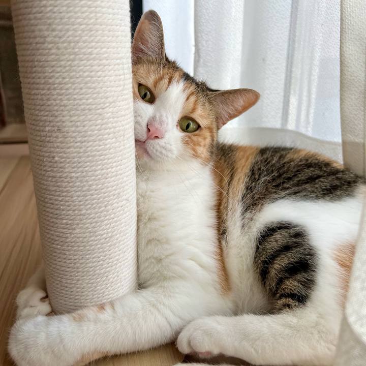 62ea23da 99e1 4236 a716 796f95416d6f 1759722345937