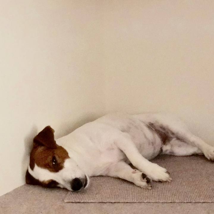 62ea2e0f 34a6 4cb7 8fa7 a0eb8924ee2b 1565490576029