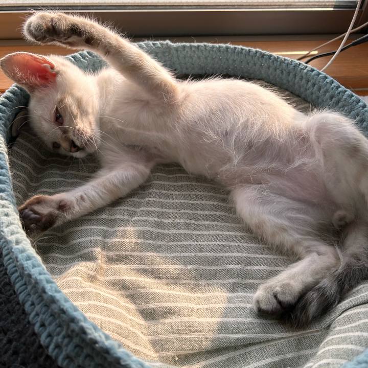 62ea3d80 7760 40c3 903f 8f90fd34d328 1722725443182