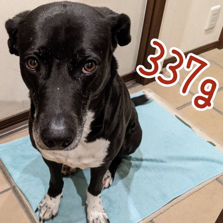 62ea5060 85f8 4c1b b6ec 382fd5c09b7c 1680051053384