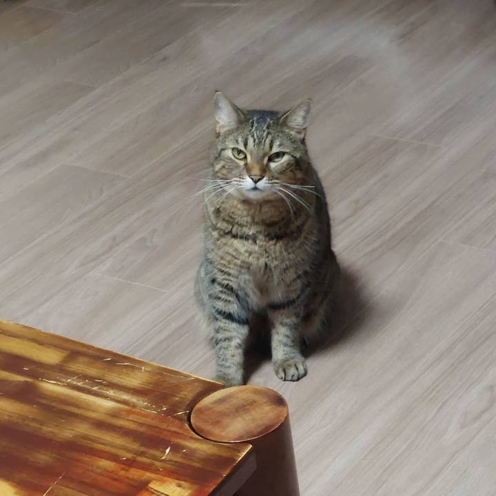 62ea54e4 7165 41e0 97cd 2de5342639e0 1631140797343