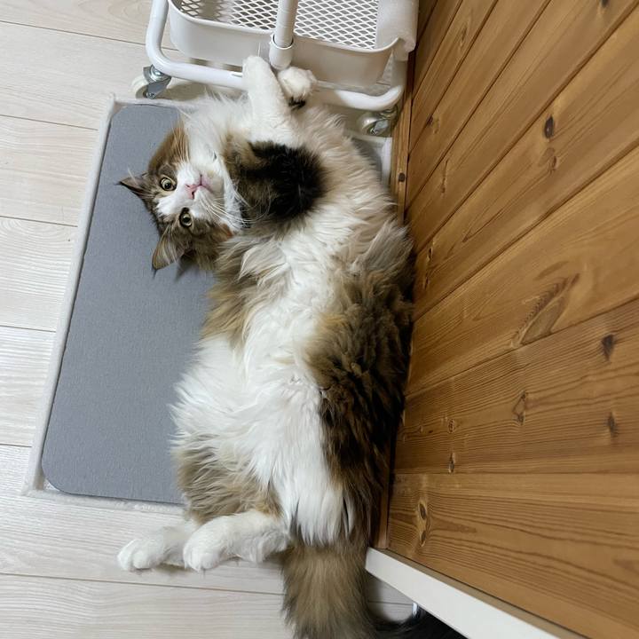 62ea6e7d d46e 4968 b361 9d94dfdc8fe2 1701372155792