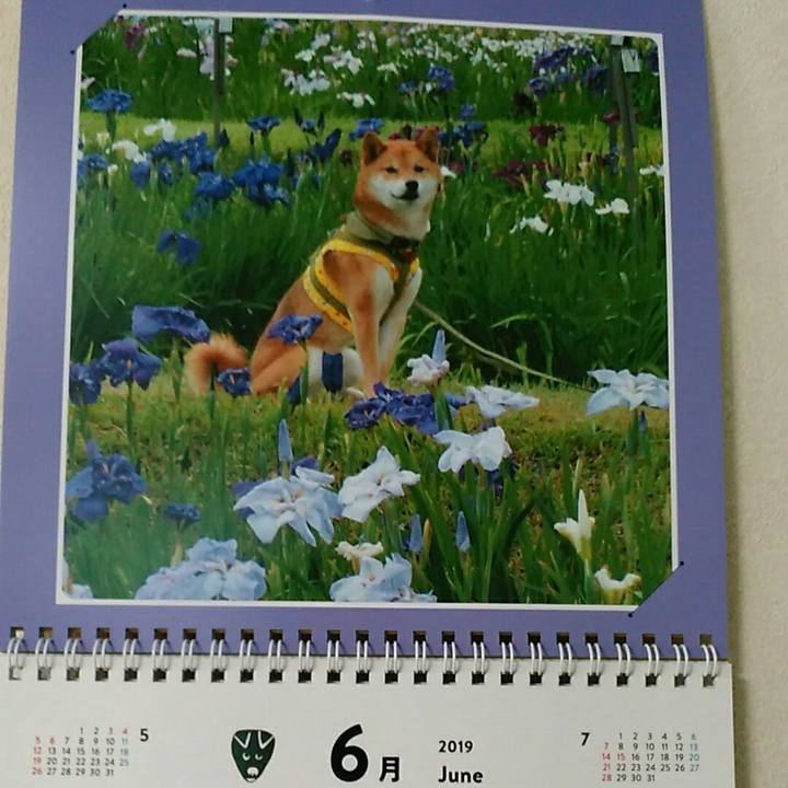 62ea992e 1bf4 4a0c b3b8 77b819142d21 1559360788188