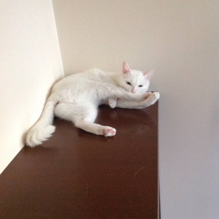 62eaa132 af14 460c 9996 8e1ad7ff6684 1627770786174