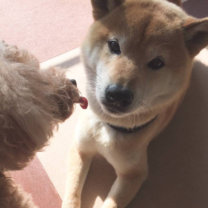 62eb1345 9b92 48b0 bde5 8e8326626ad0 1523588959839