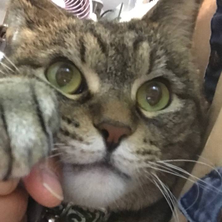 62eb425a cf0b 4dcb 8cfb 80331e2bb7e5 1547901725544