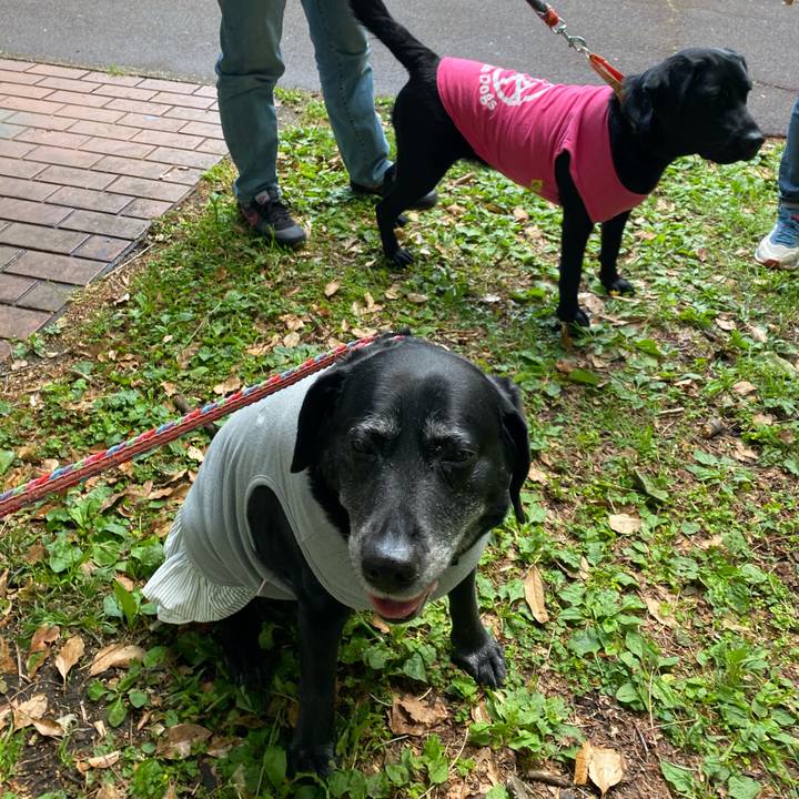 62eb4a46 d99f 46d0 90bf 1c389c41b964 1619953542665