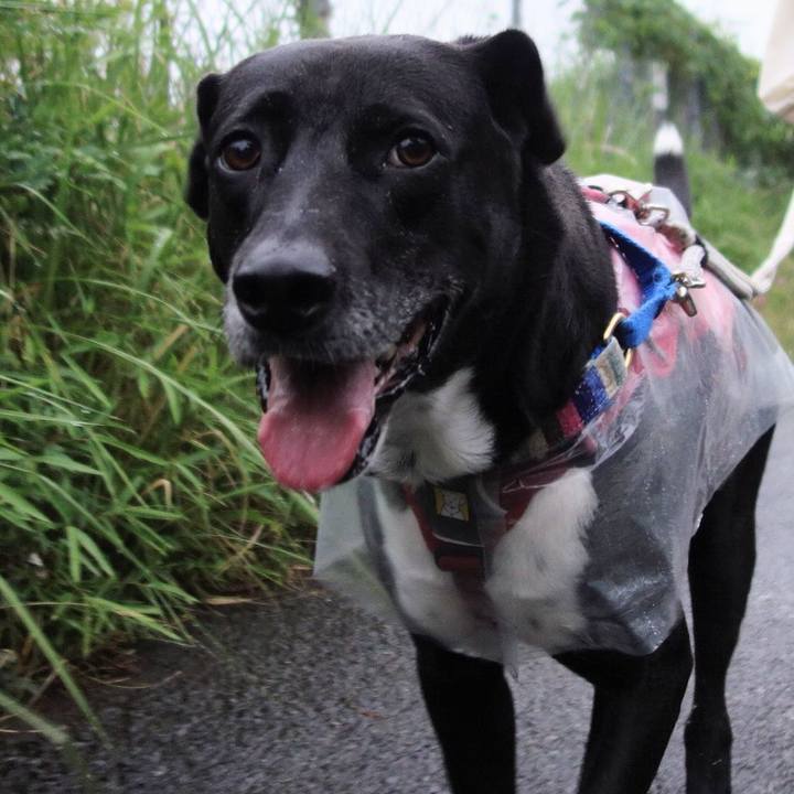 62eb58a7 c8a5 4d39 ae0a 4dd7696ab16d 1655204713518