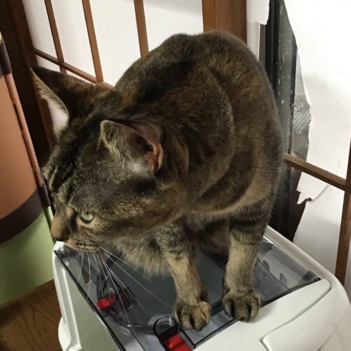 62eb5ee2 3cda 4b7f a631 f29263d02de6 1682078285093