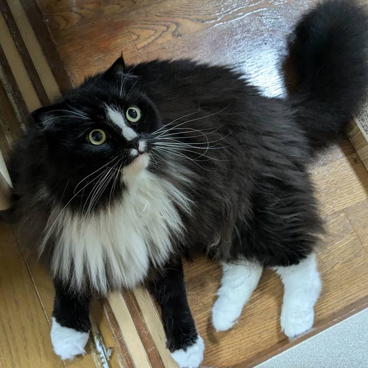 62eb6082 b5f2 4d6d 9484 813f05afbd94 1725179553926