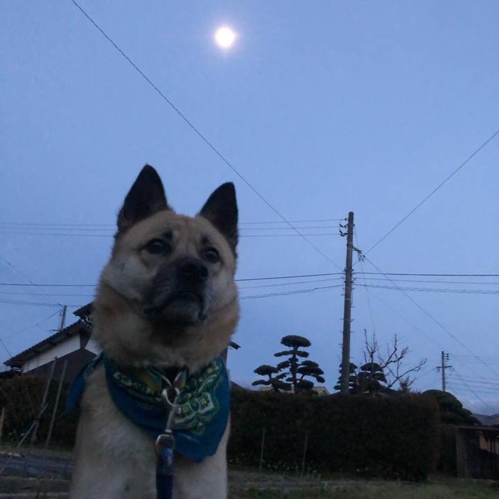 62eb7ed3 7766 4550 964a 6181e770e009 1580988331498