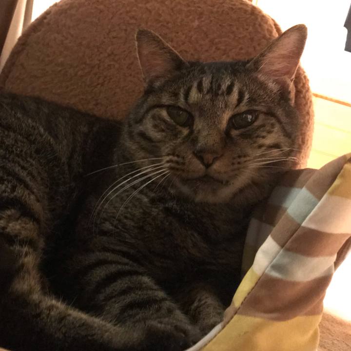 62eb80f8 dea4 461d 9553 83aac3f4a52f 1594558903404