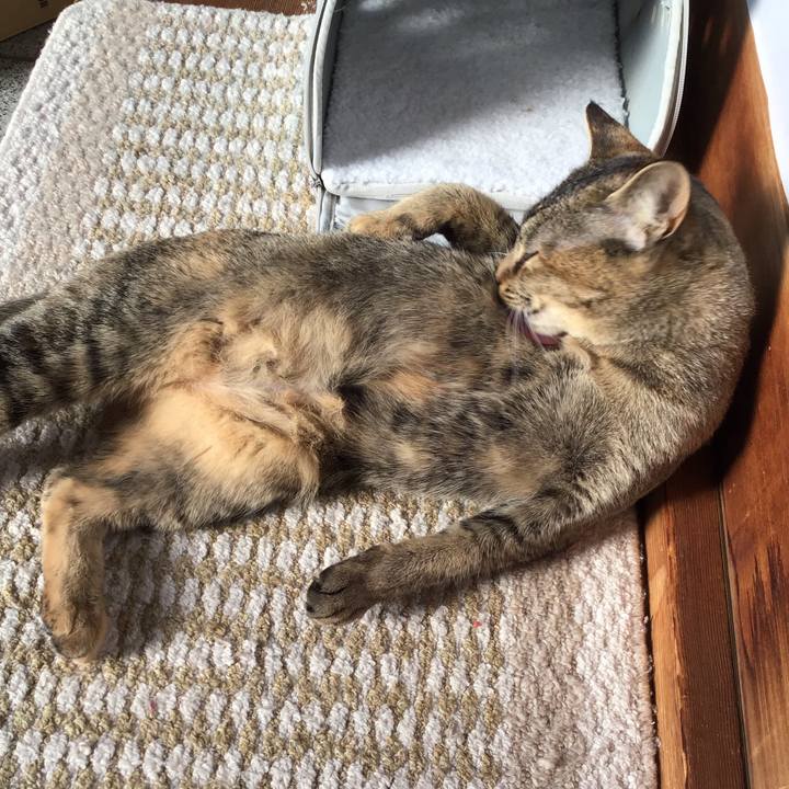 62eba333 2bb0 4a62 aa05 acf5d7edbf7a 1577265090192