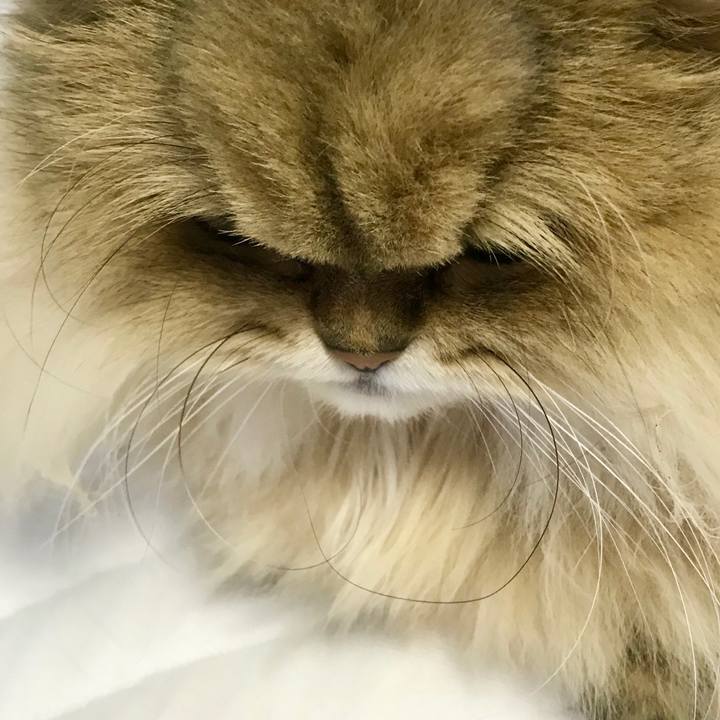 62ebbb2b db94 4efe 8384 354c06a7d3ee 1547531188152