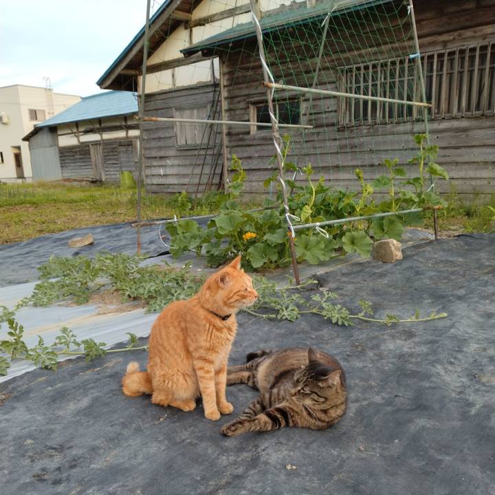 62ebe51b bbc5 458e 82ab 57f728e47fbd 1687775054478