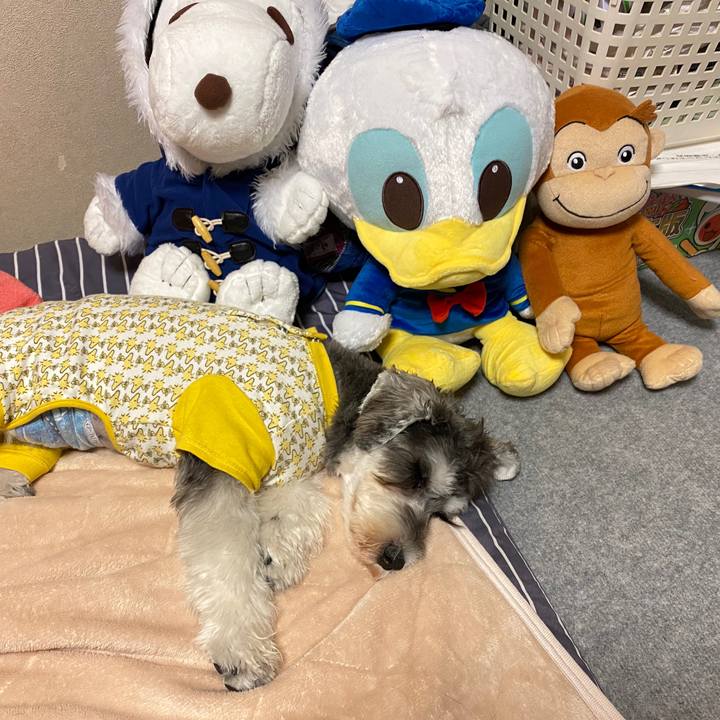 62ebe9cc 8f9f 4bc9 9d94 cf2215142701 1574609375560