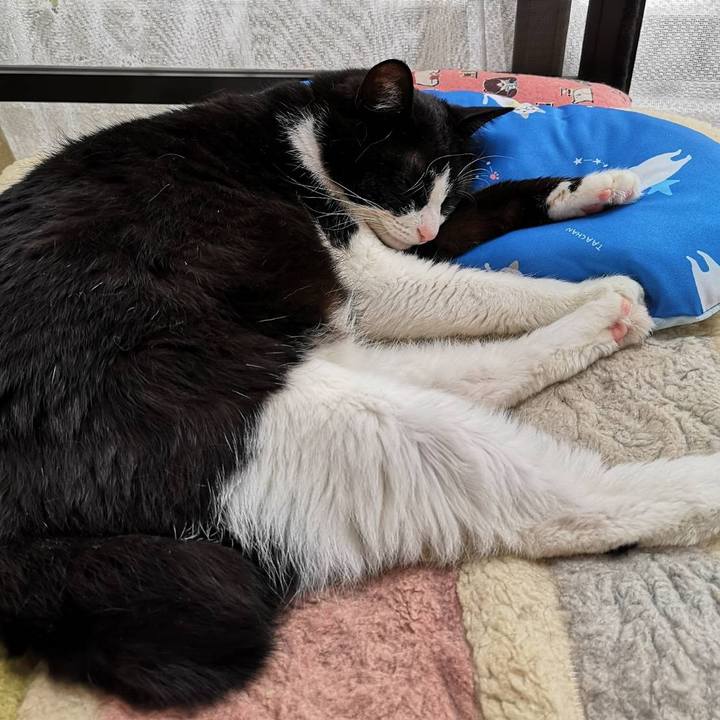 62ebebc3 6700 4da2 8597 1567f7e09982 1620548560332