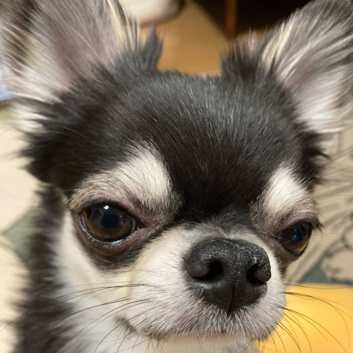 62ebed06 0663 4799 accc 4a8288089b15 1619880187623