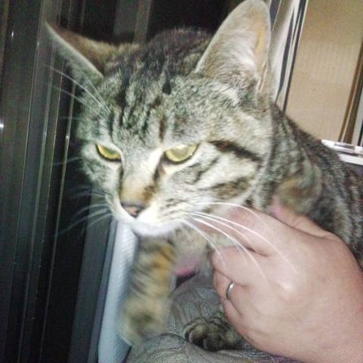 62ec29d2 0318 4a10 9f2b dea2a3c85910 1760581646962