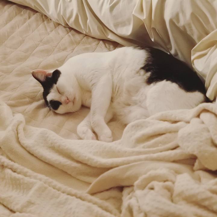 62ec401f 2d63 4870 8b94 fbaaa462a579 1597144700764