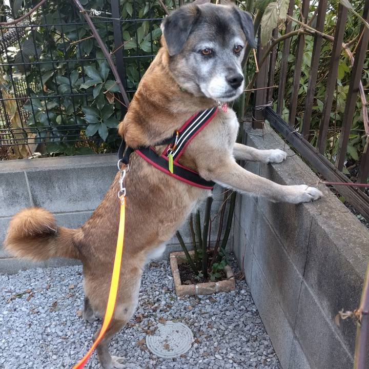 62ec57dc cfd3 4011 84a3 90af9c844eca 1518048863522