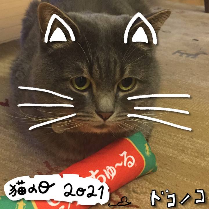 62ec9545 a56a 4e1a aea1 34f4ebe45e7e 1613997337937