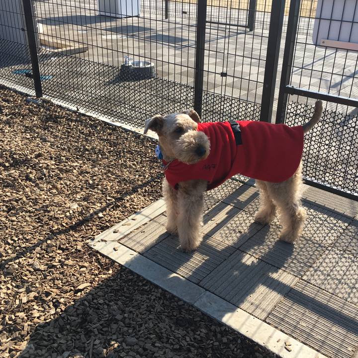 62ecb265 b7ab 48fa 96fa 13232ecf4935 1517195620932