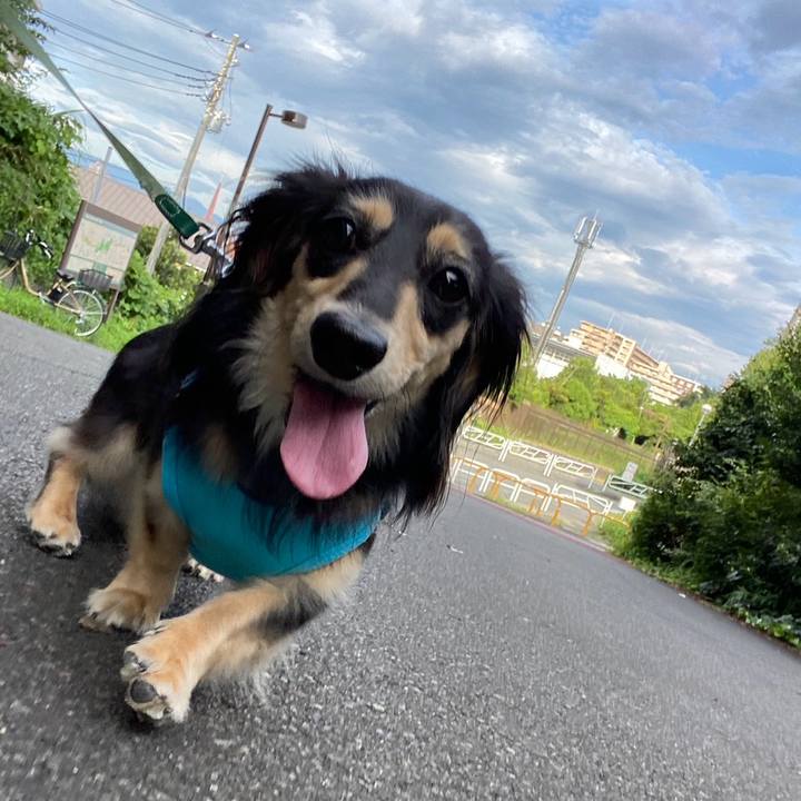 62ecbbe7 8dcf 43e8 a58d 25a33c2b006e 1721862014862