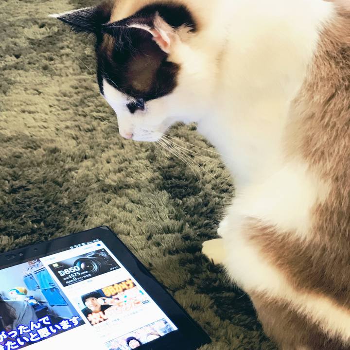 62ecf3eb e611 4080 92a3 562db488503c 1525526691303